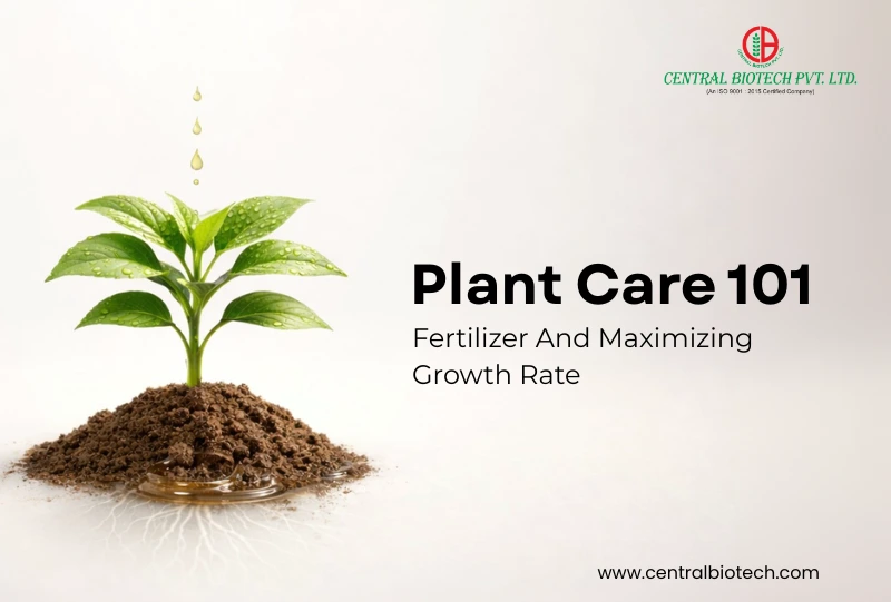 Plant Care 101: Fertilizer And Maximizing Growth Rate