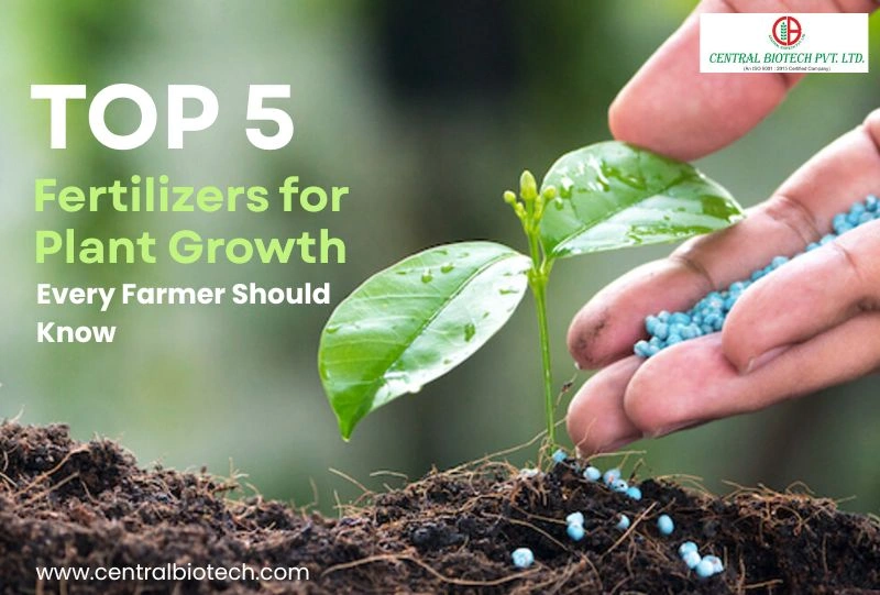Top 5 Fertilizers for Plant Growth Every Farmer Should Know