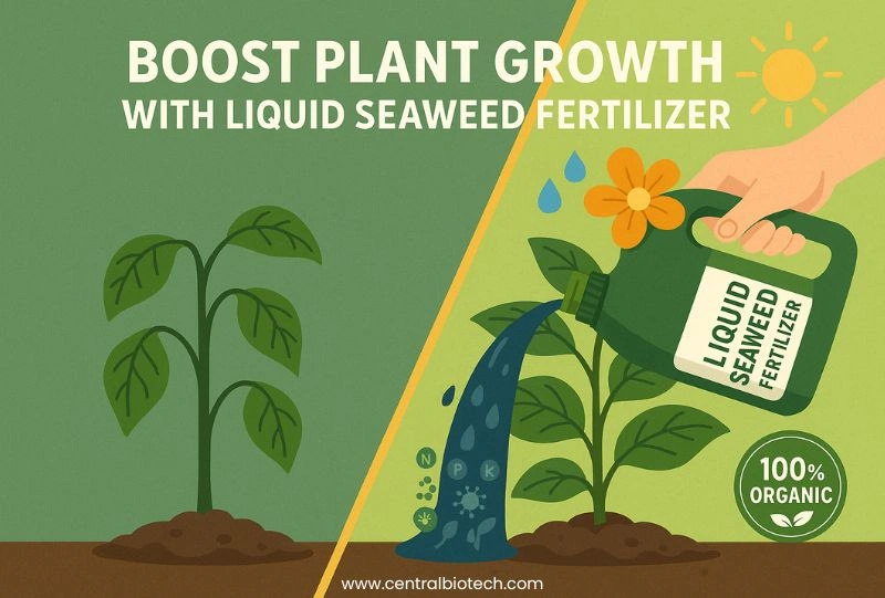 How to Use Liquid Fertilizers for Faster Plant Growth