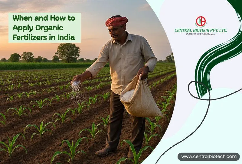 Season-Wise Guide: When and How to Apply Organic Fertilizers in India