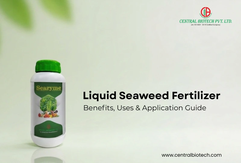 Liquid Seaweed Fertilizer: Benefits, Uses & Application Guide