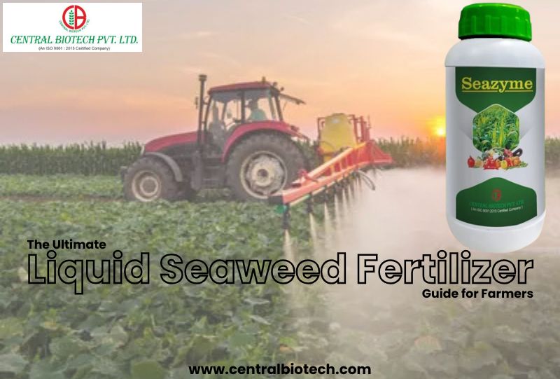 The Ultimate Liquid Seaweed Fertilizer Guide for Farmers