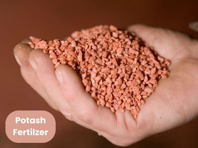 What Is Organic Potash Fertilzer?